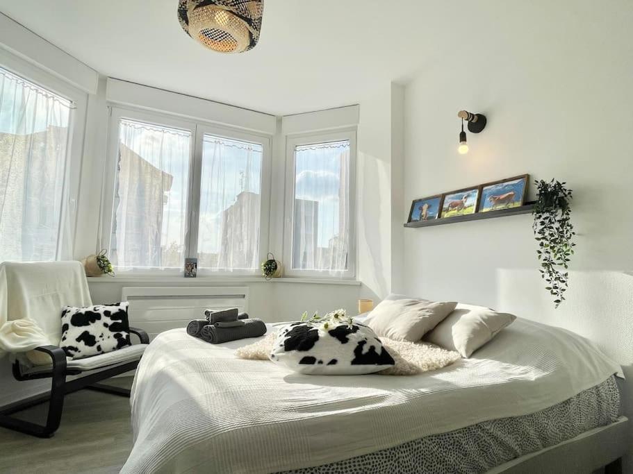 La Mascotte Apartment แซ็ง-ลุยส์ ภายนอก รูปภาพ