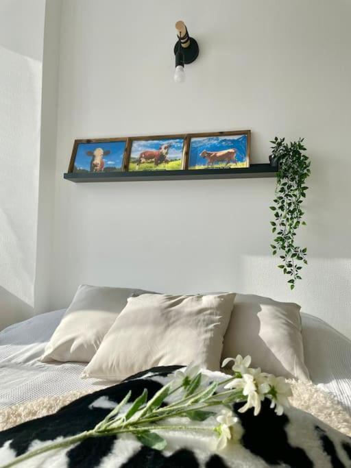 La Mascotte Apartment แซ็ง-ลุยส์ ภายนอก รูปภาพ